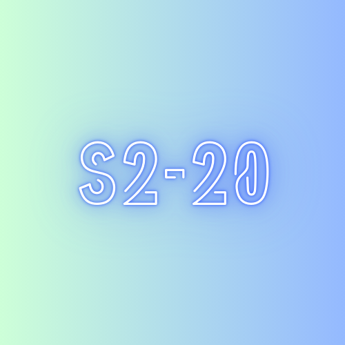 S2-20